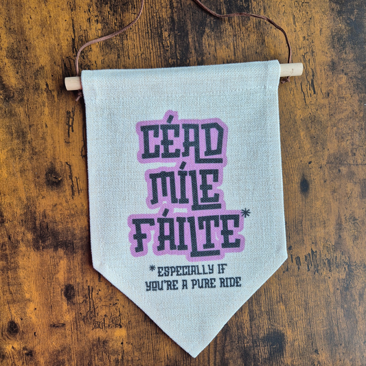 FÁILTE/ WELCOME BANNER