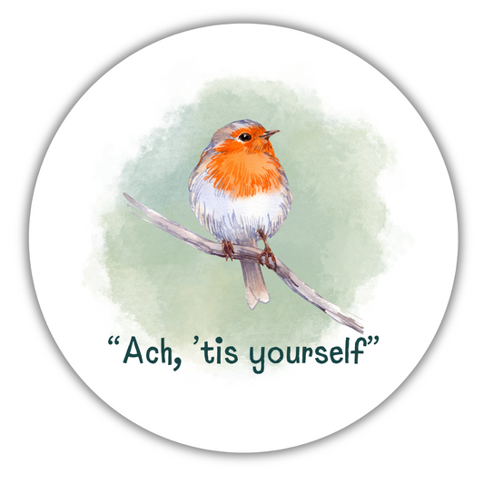 TIS YOURSELF ROBIN COASTER